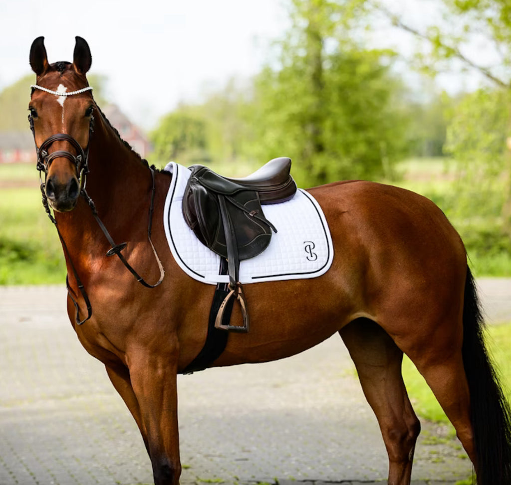 Ps of Sweden Elite DR Saddle Pad