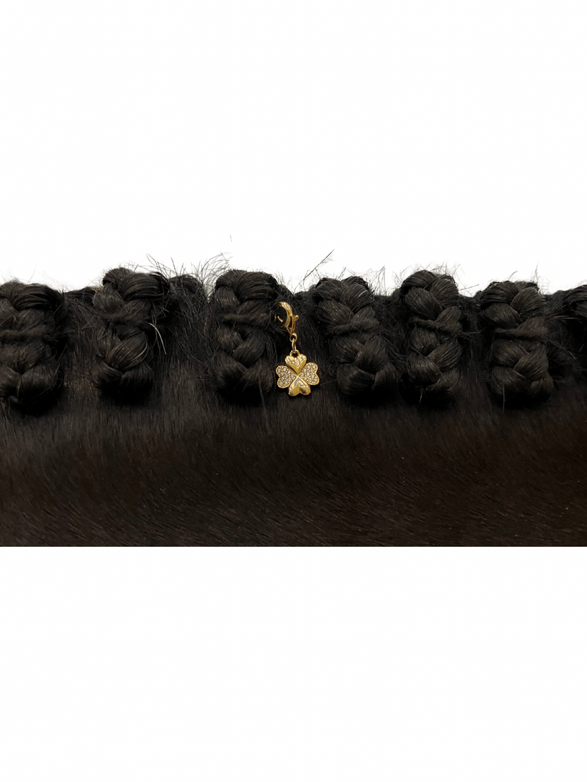 Dubois Cheval Braid Charm