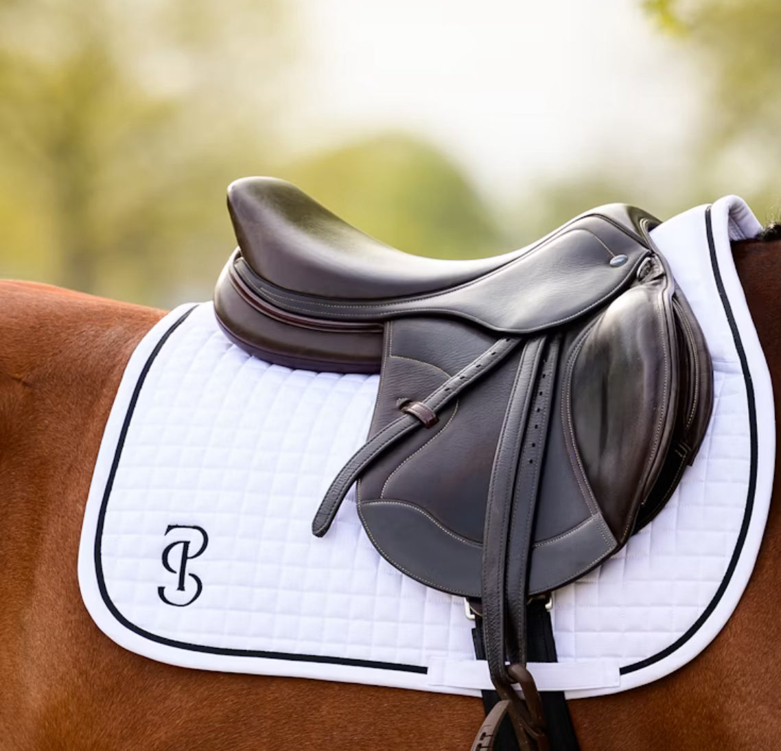 Ps of Sweden Elite DR Saddle Pad