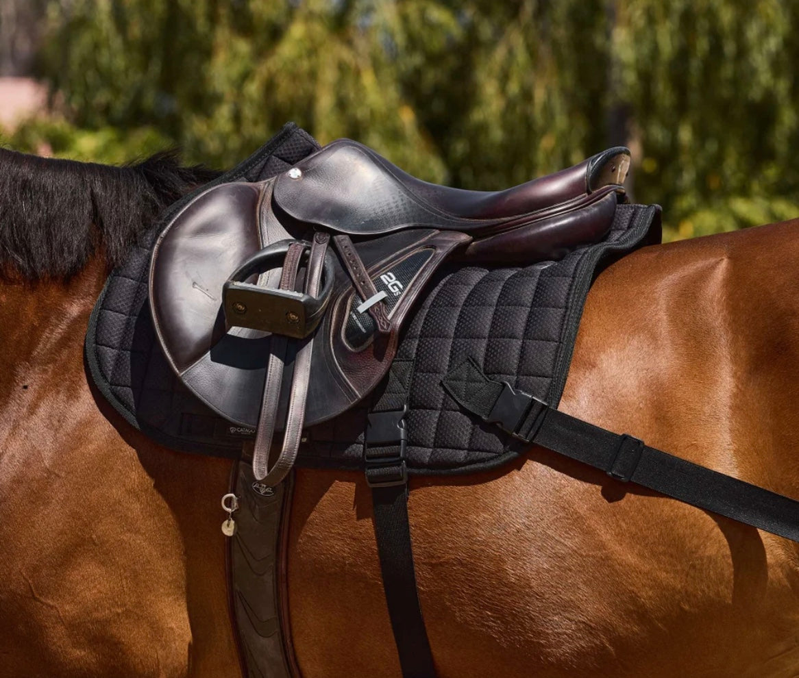 Catago FIR-Tech Training Saddle Pad DR
