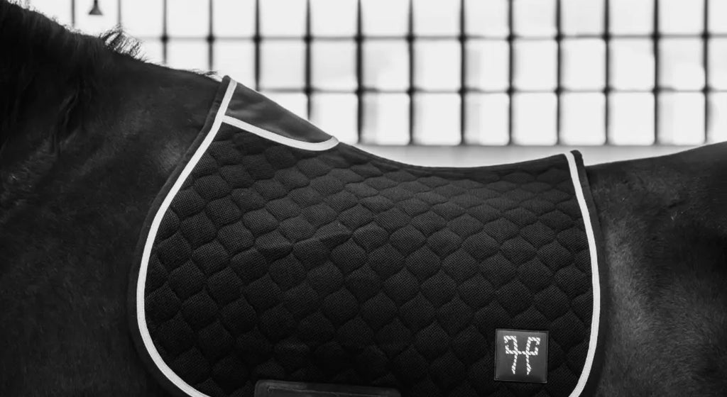 Horse Pilot Jumping Saddle Pad