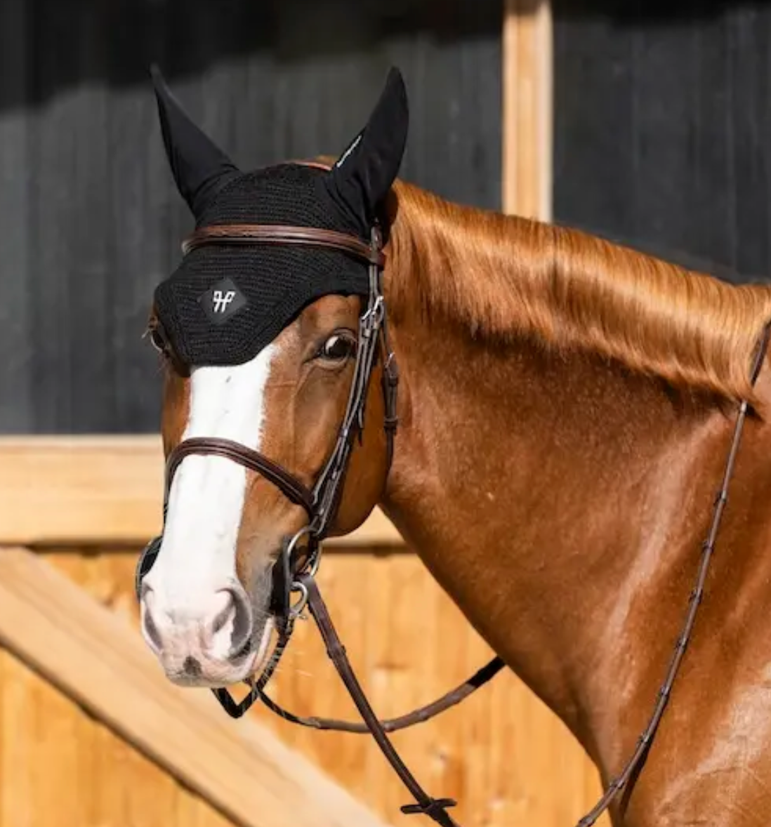 Horse Pilot Ear Bonnet