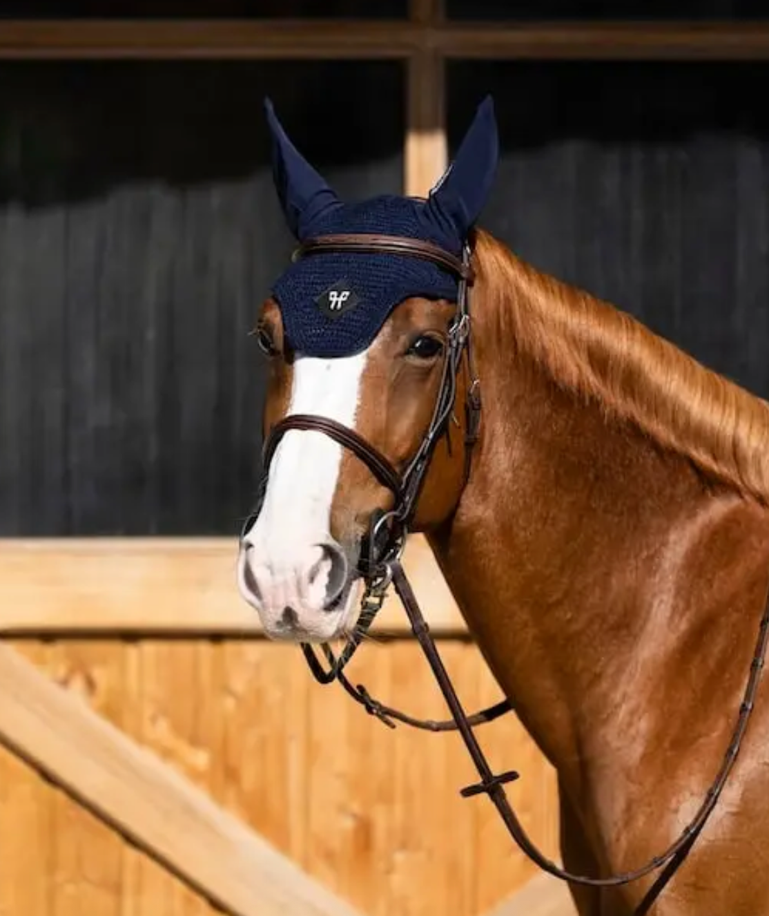 Horse Pilot Ear Bonnet