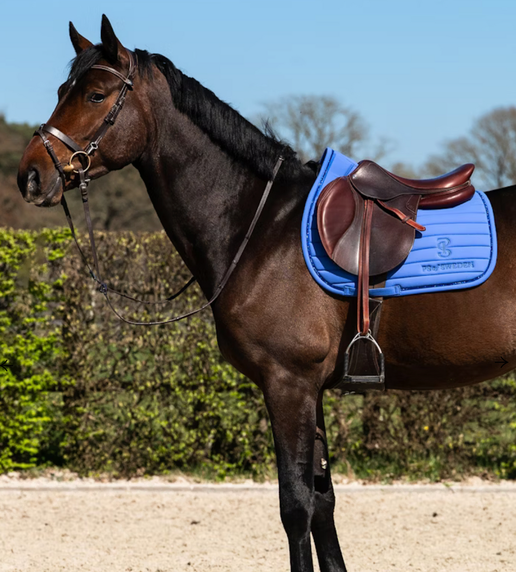 PS of Sweden DR Stripe Saddle Pad
