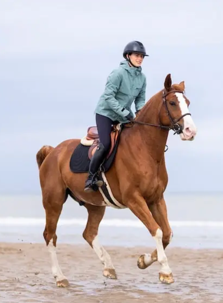 Horse Pilot Essential Jacket Women