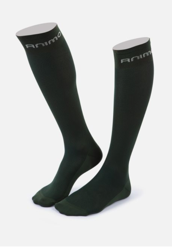 Animo Taddeus Socks