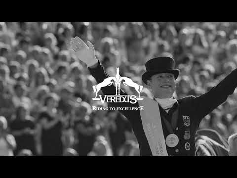 Veredus Dressage Absolute Velcro/Front